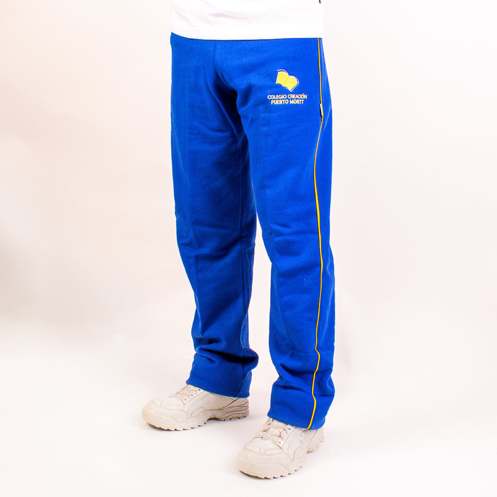 Ropa Deportiva Buzos De Colegios Particulares Pantalon Chandal