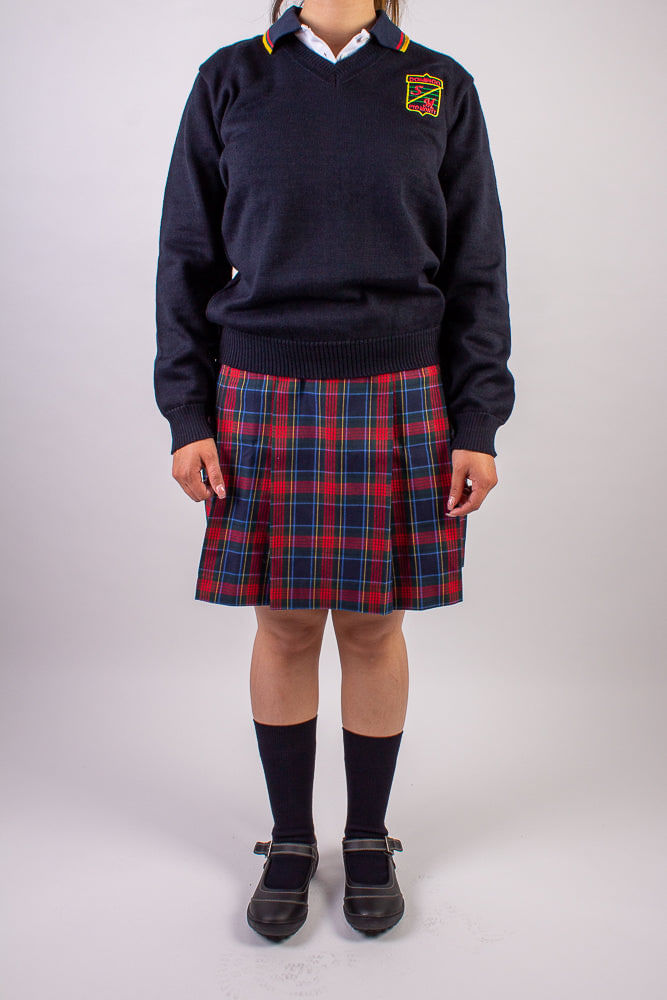 SWEATER-COLEGIO